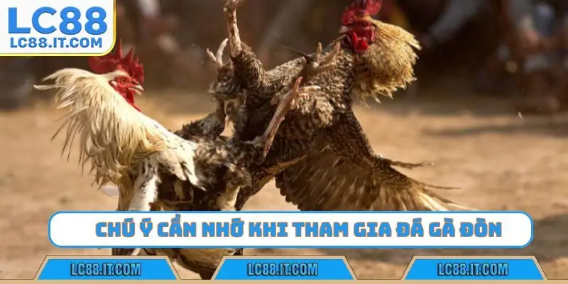Chú ý cần nhớ khi tham gia đá gà đòn