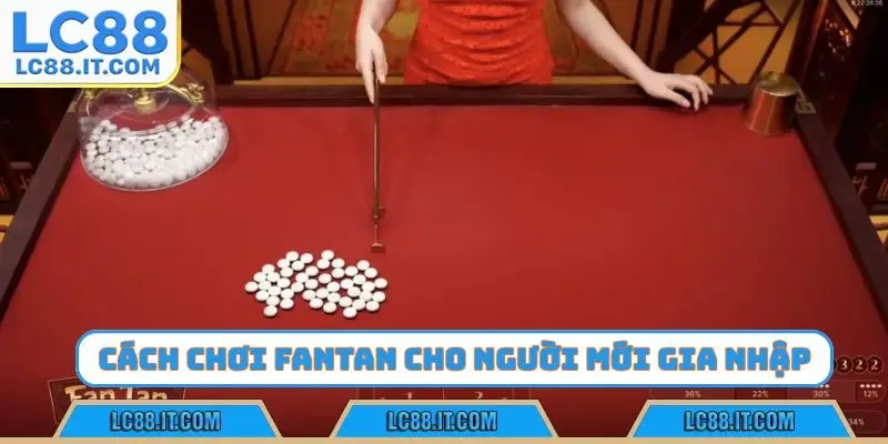 cách chơi fantan cho người chơi mới gia nhập