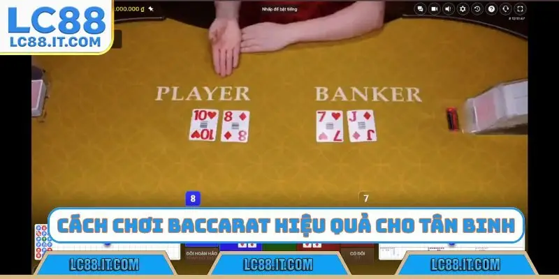 Cách chơi baccarat hiệu quả nhất cho tân binh